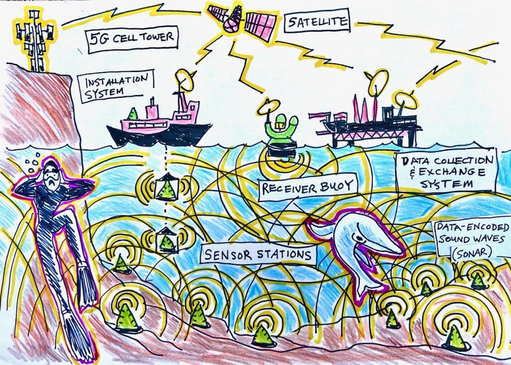 Artist representation of the acoustic network by Isa Maria.